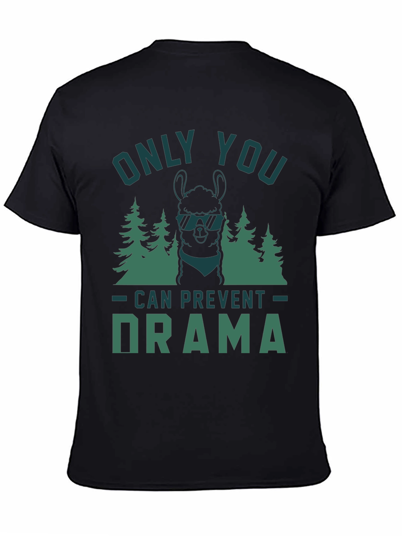 Only You Can Prevent Drama Graphic Tee