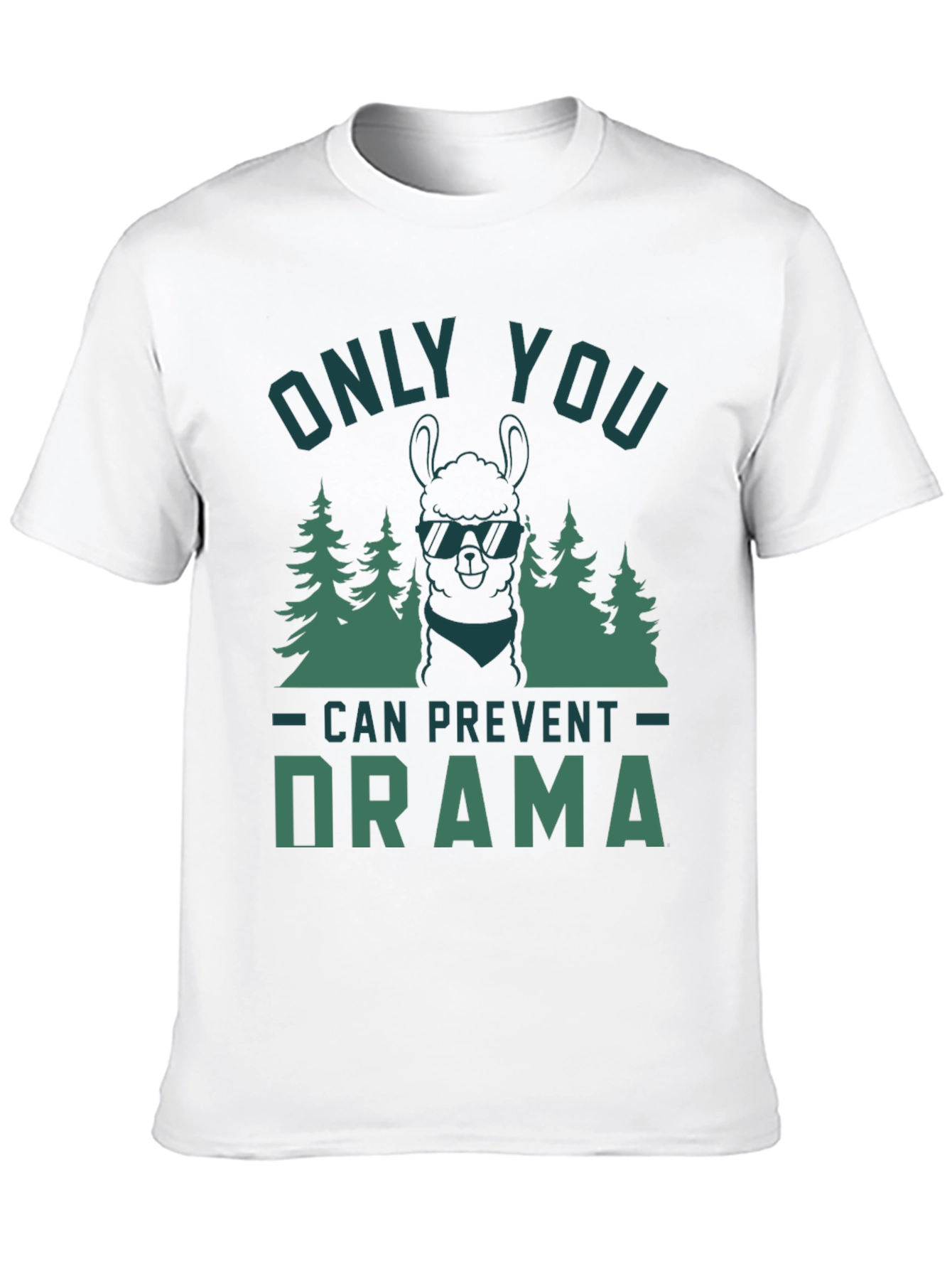 Only You Can Prevent Drama Graphic Tee