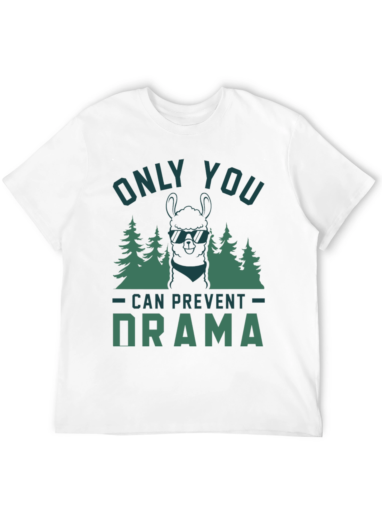 Only You Can Prevent Drama Graphic Tee