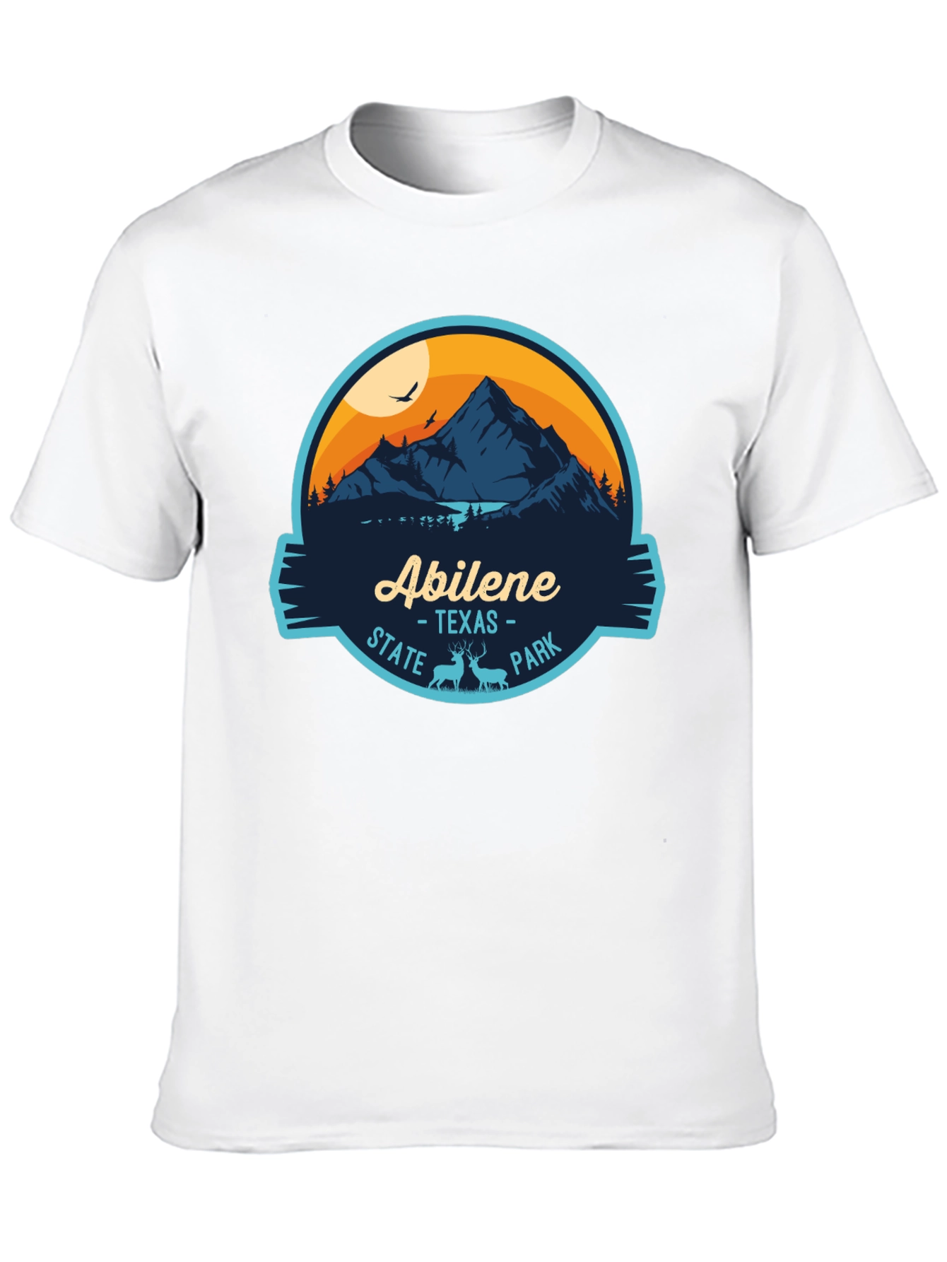Abilene Texas State Park Black Graphic Tee