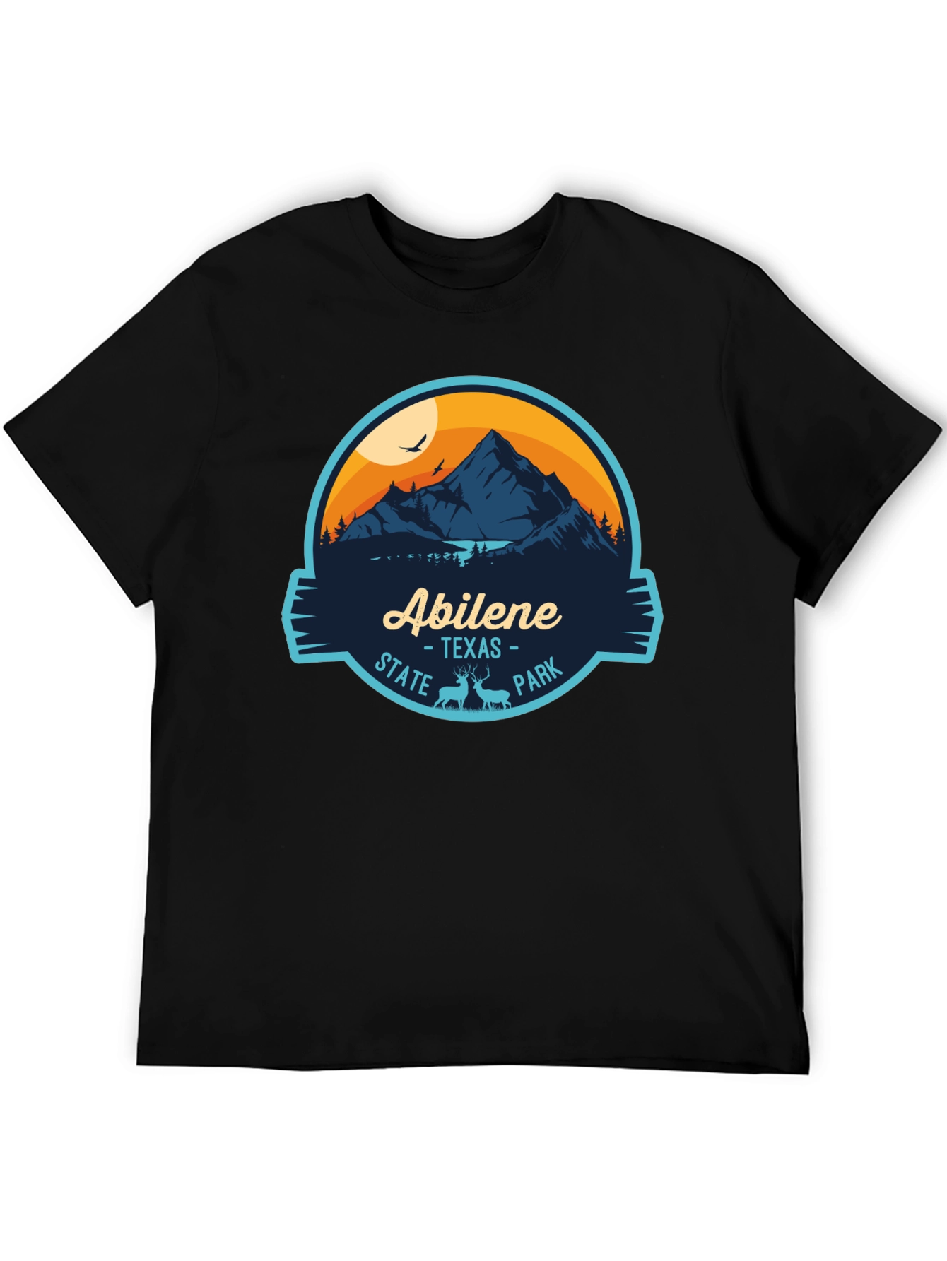 Abilene Texas State Park Black Graphic Tee