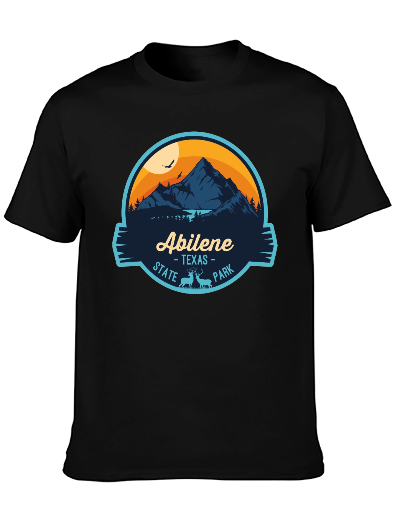 Abilene Texas State Park Black Graphic Tee