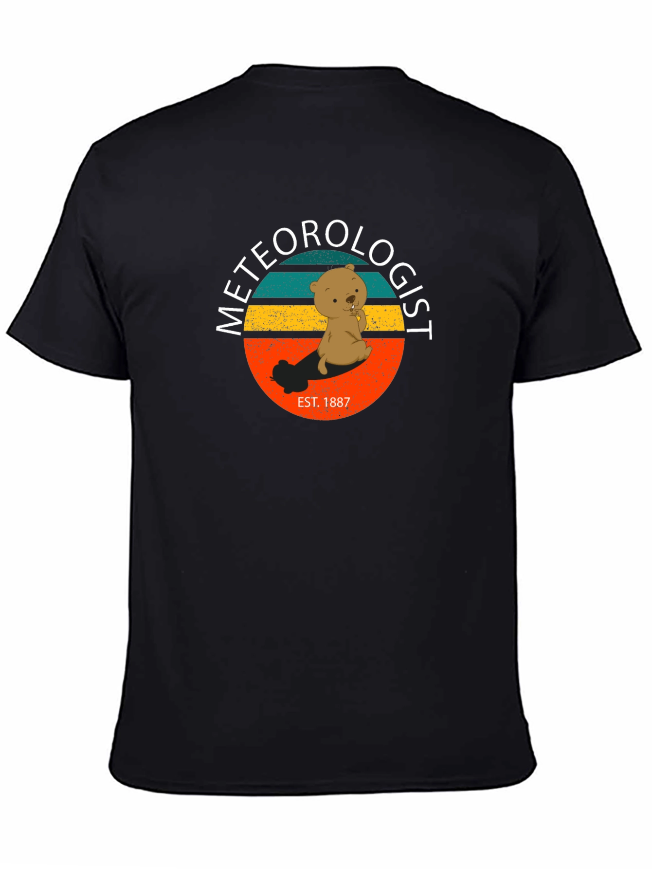 Meteorologist Bear Graphic T-Shirt
