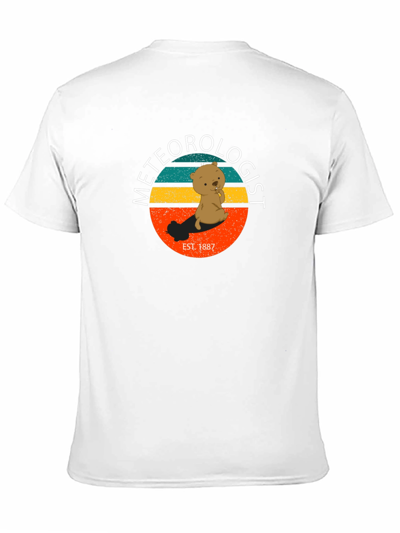 Meteorologist Bear Graphic T-Shirt