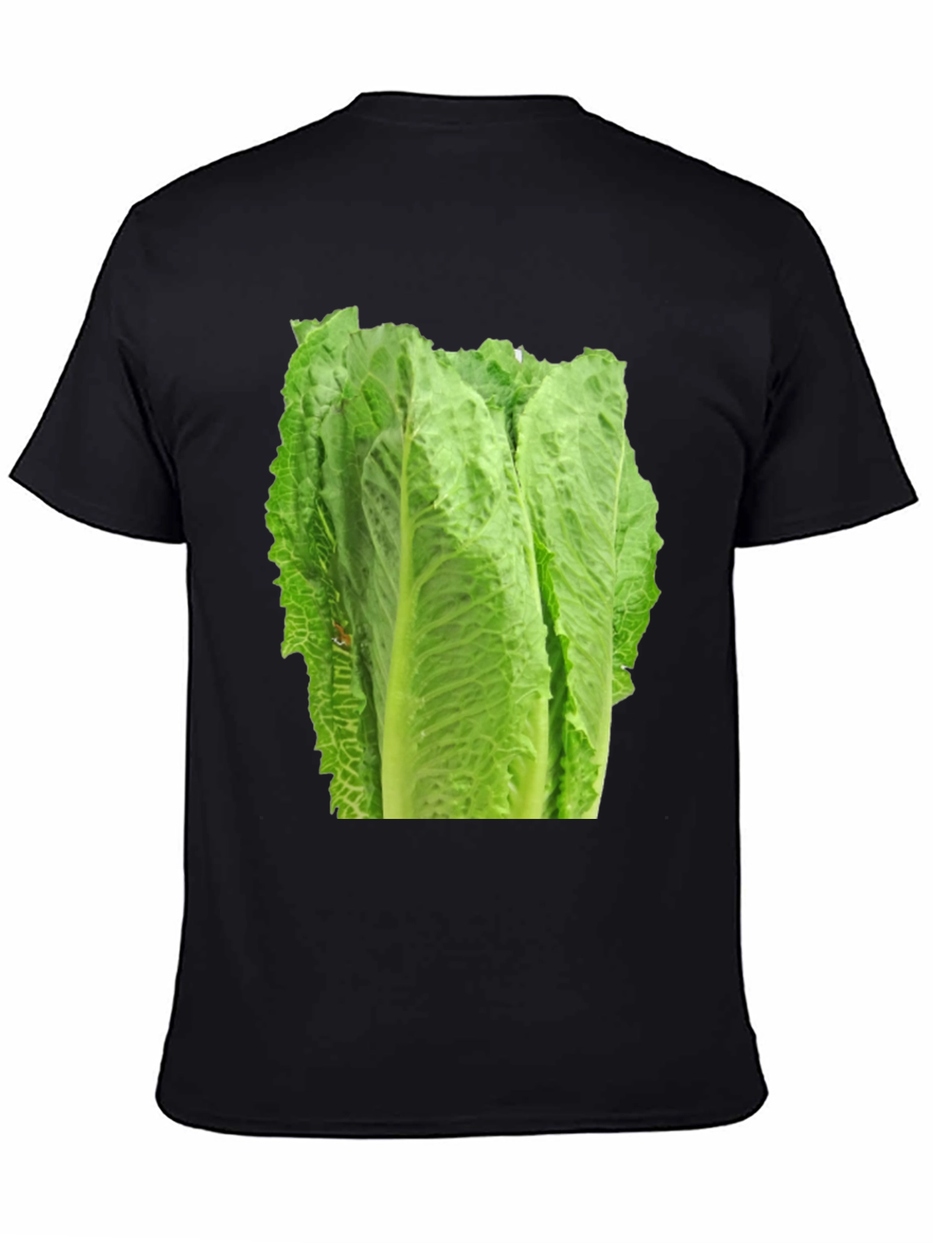 Lettuce Graphic T-Shirt - Fresh Produce Tee