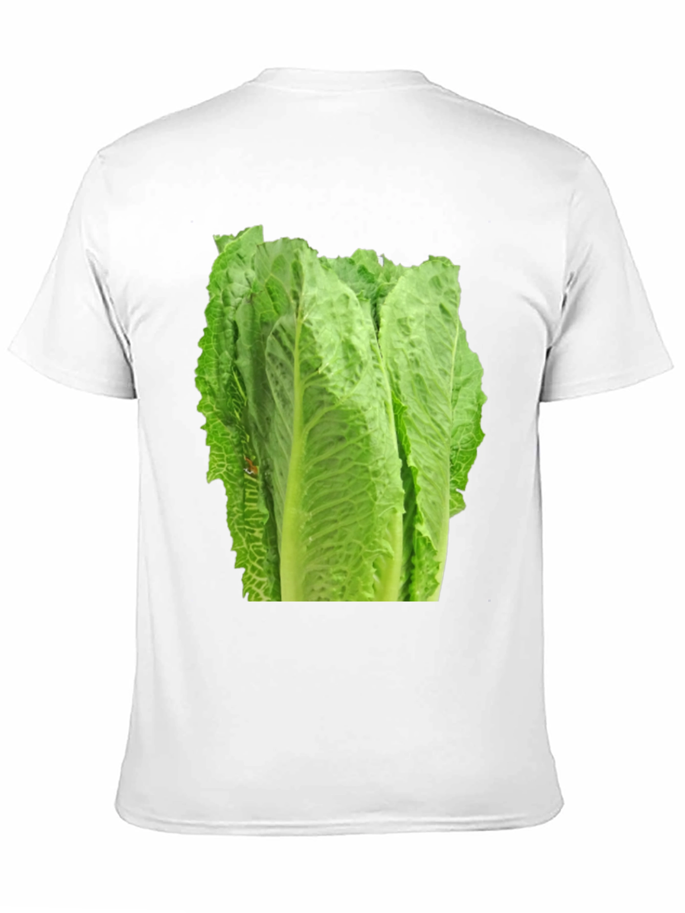 Lettuce Graphic T-Shirt - Fresh Produce Tee