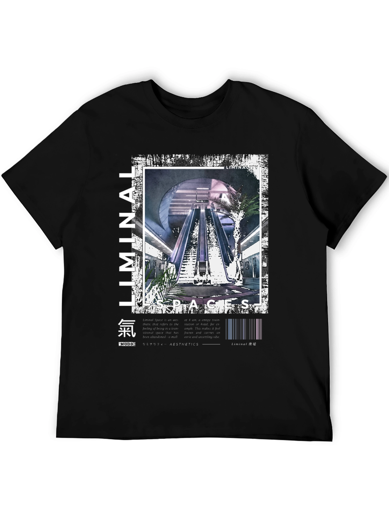 Liminal Spaces Graphic T-Shirt - Black