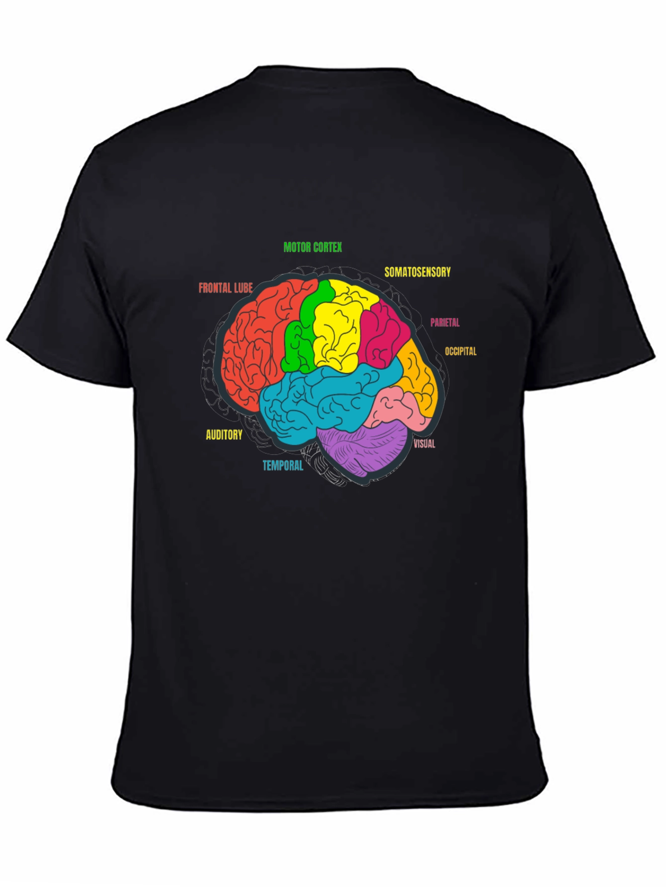 Brain Anatomy Diagram Graphic Tee - Black