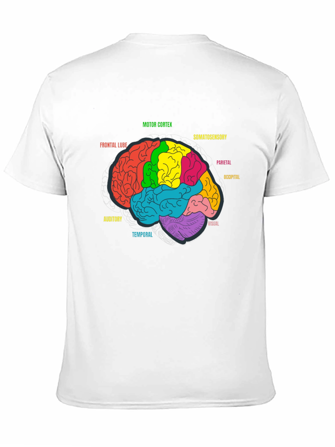 Brain Anatomy Diagram Graphic Tee - Black
