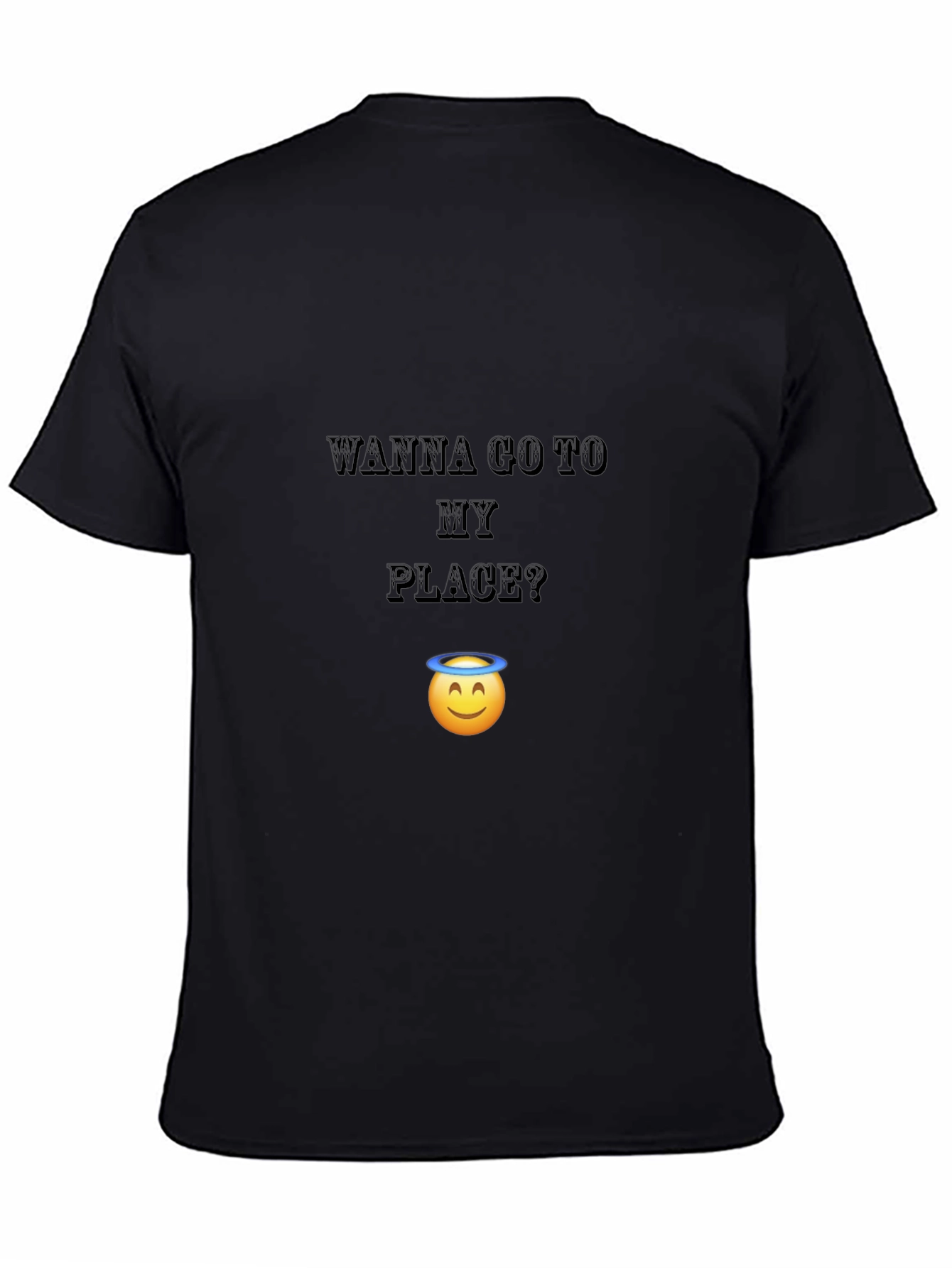 Wanna Go To My Place? Funny Graphic T-Shirt
