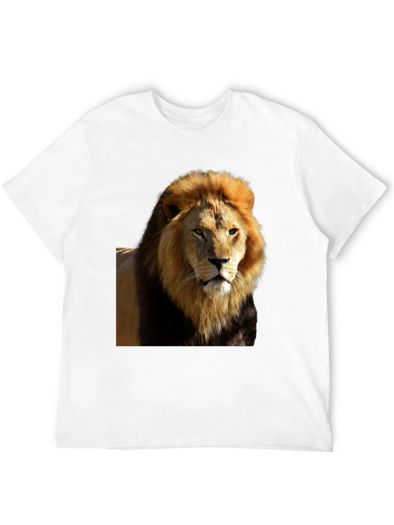 Lion Graphic Black T-Shirt - Wild Style