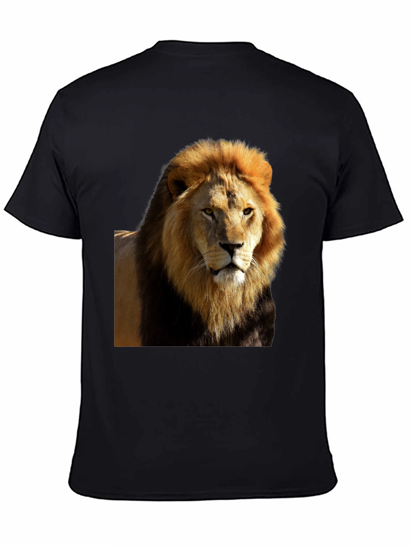Lion Graphic Black T-Shirt - Wild Style
