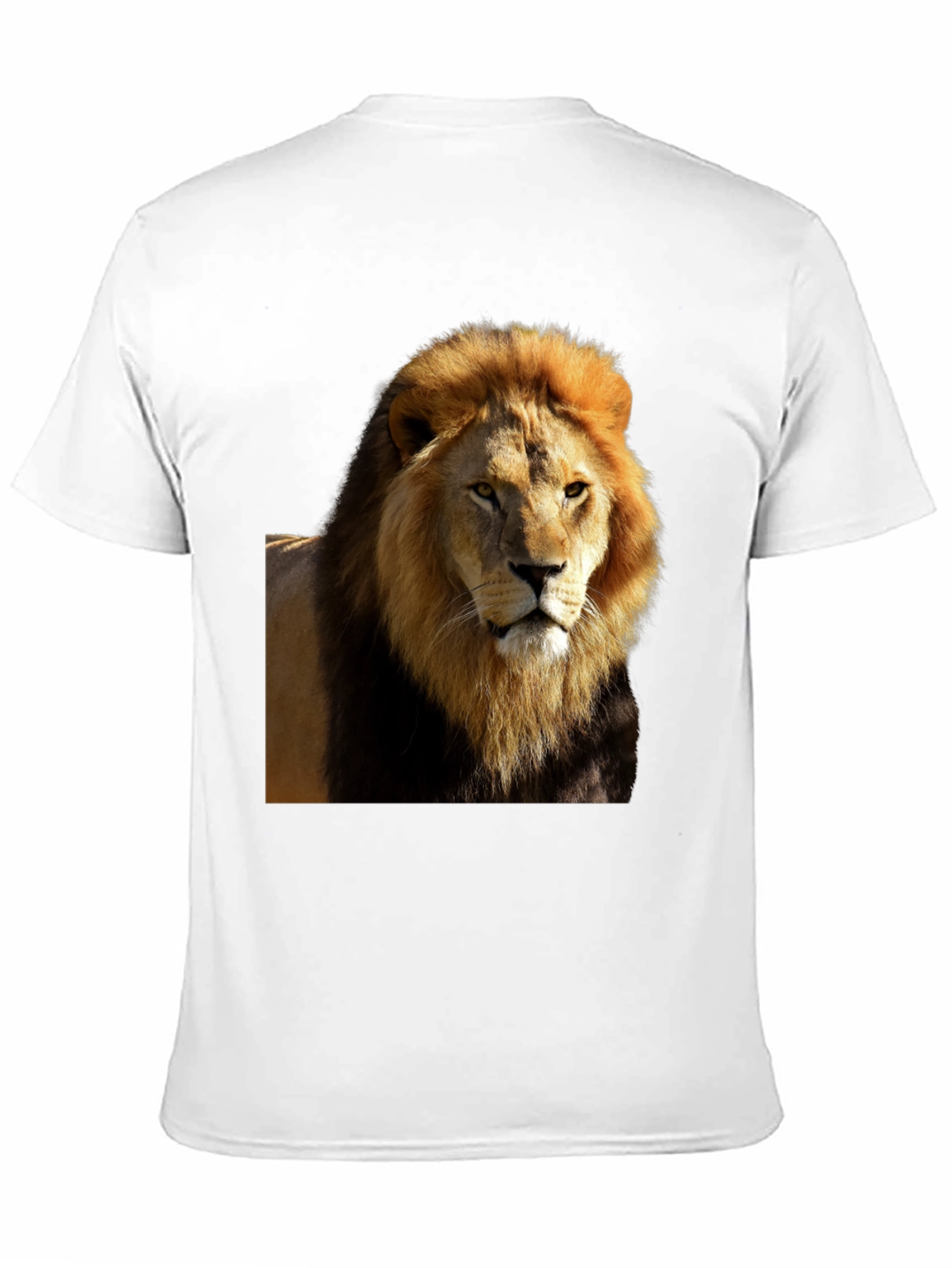 Lion Graphic Black T-Shirt - Wild Style