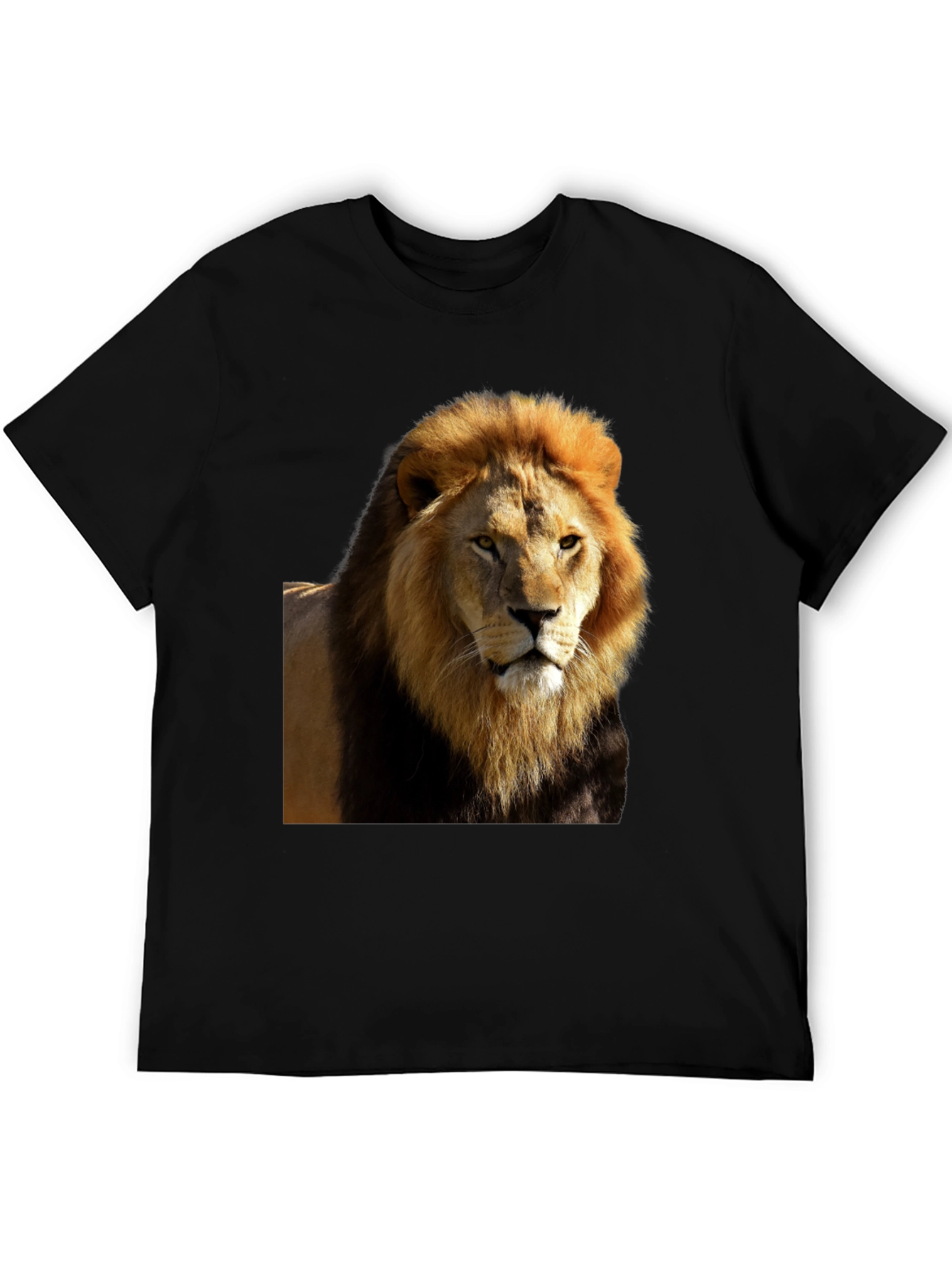Lion Graphic Black T-Shirt - Wild Style