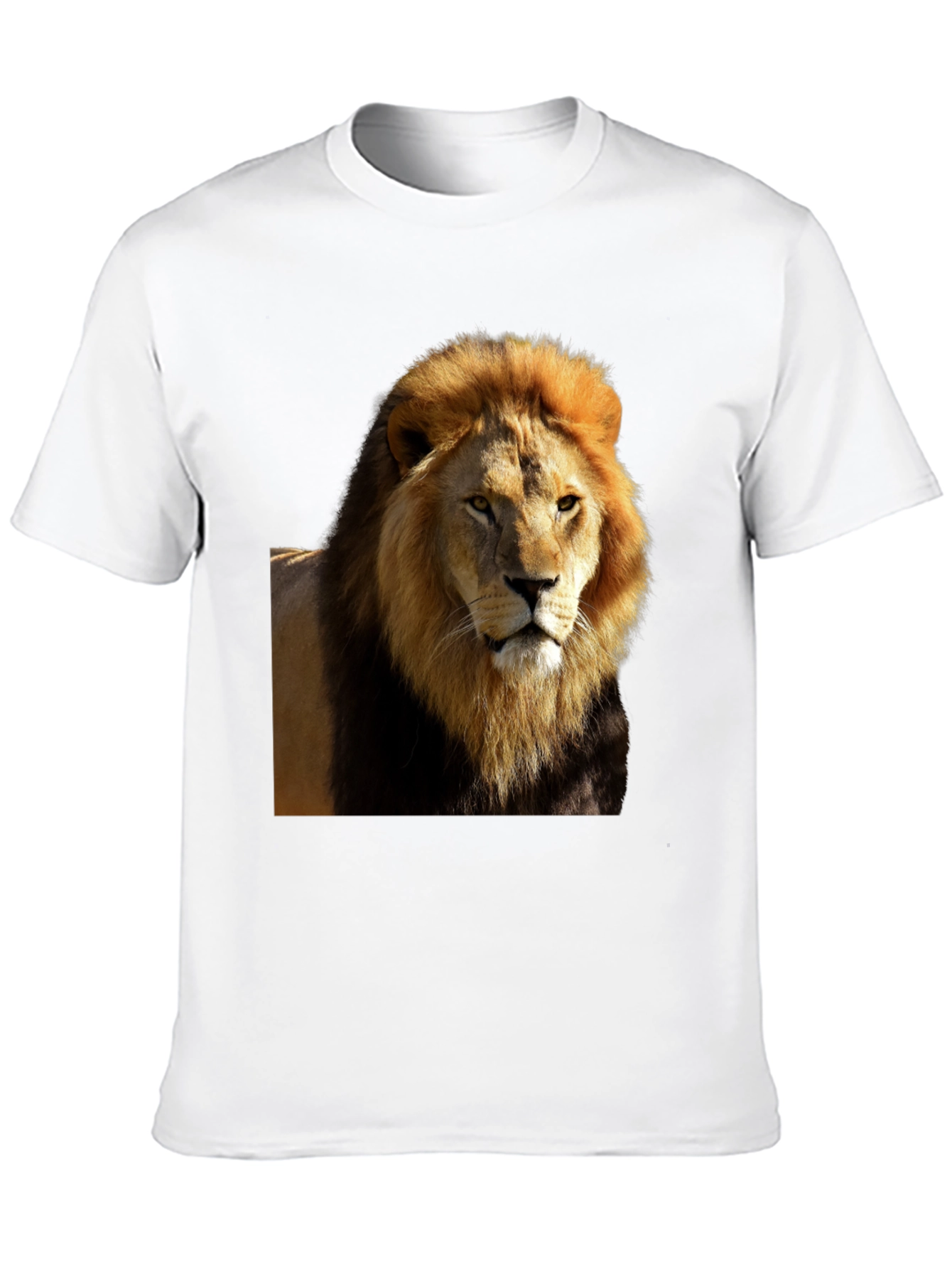 Lion Graphic Black T-Shirt - Wild Style