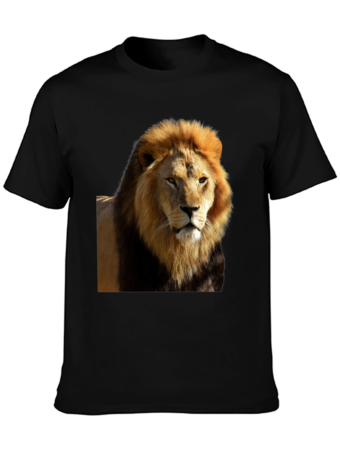 Lion Graphic Black T-Shirt - Wild Style