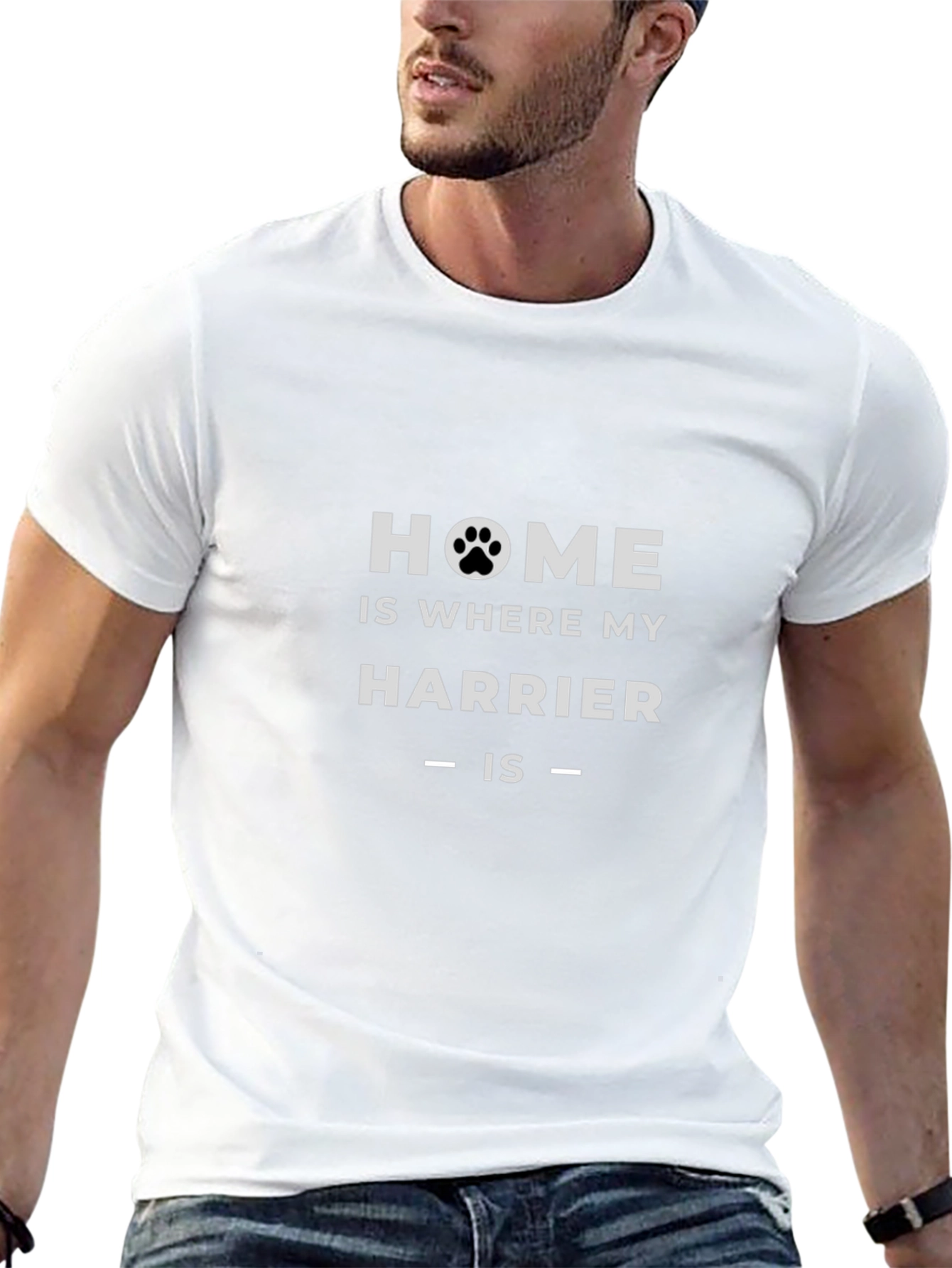 Home Is Where My Harrier Is Black T-Shirt