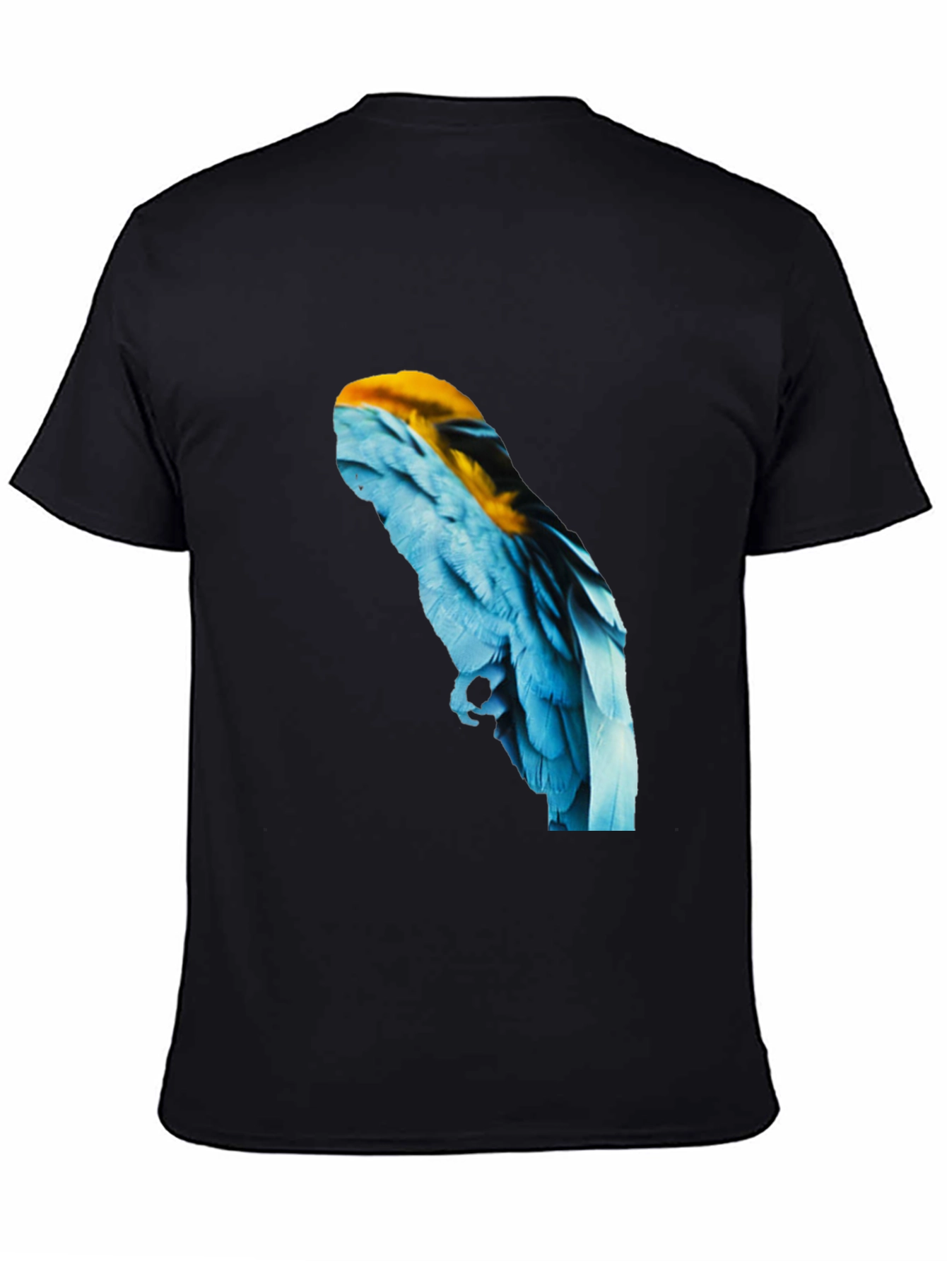 Macaw Feather Graphic Black T-Shirt