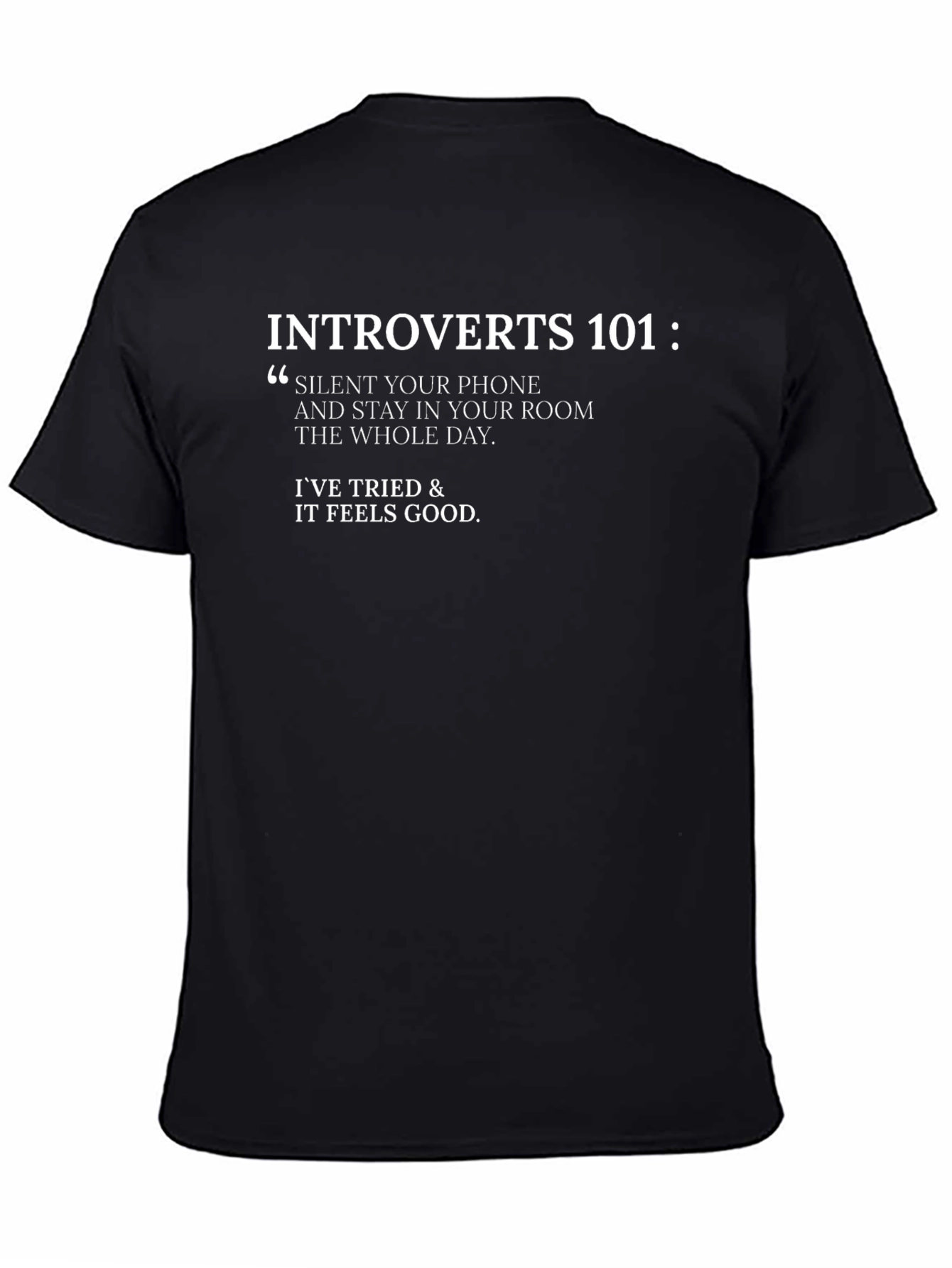 Introverts 101 Funny Graphic Tee