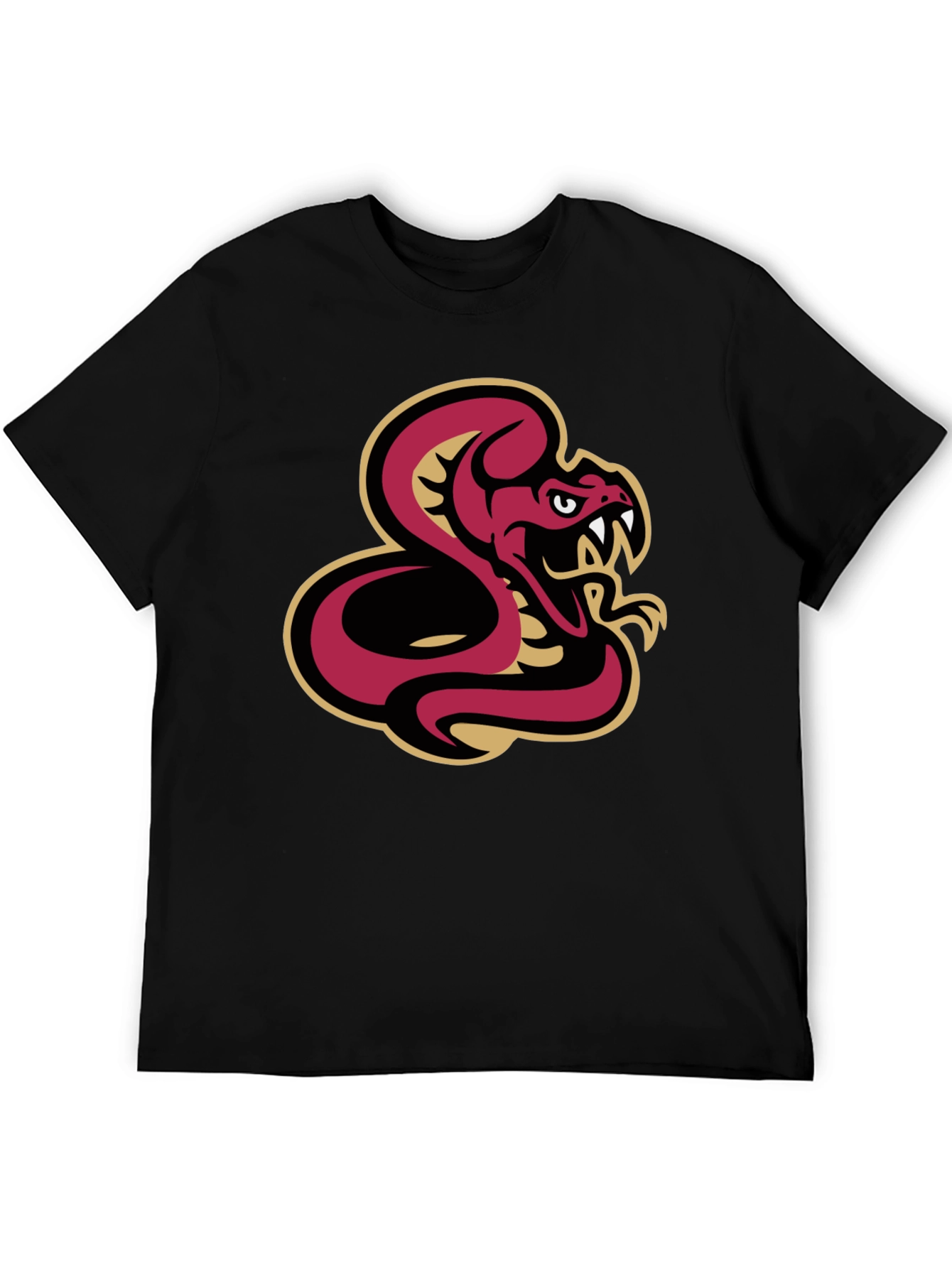 Black T-Shirt with Snake Graphic