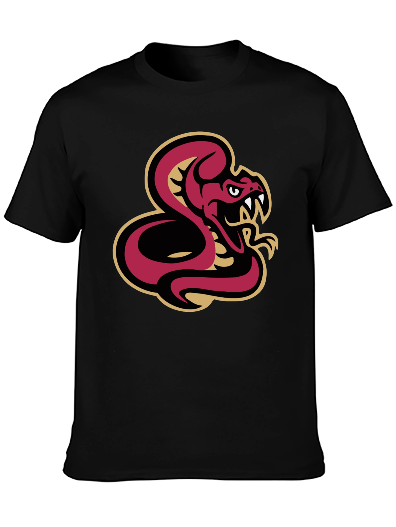 Black T-Shirt with Snake Graphic