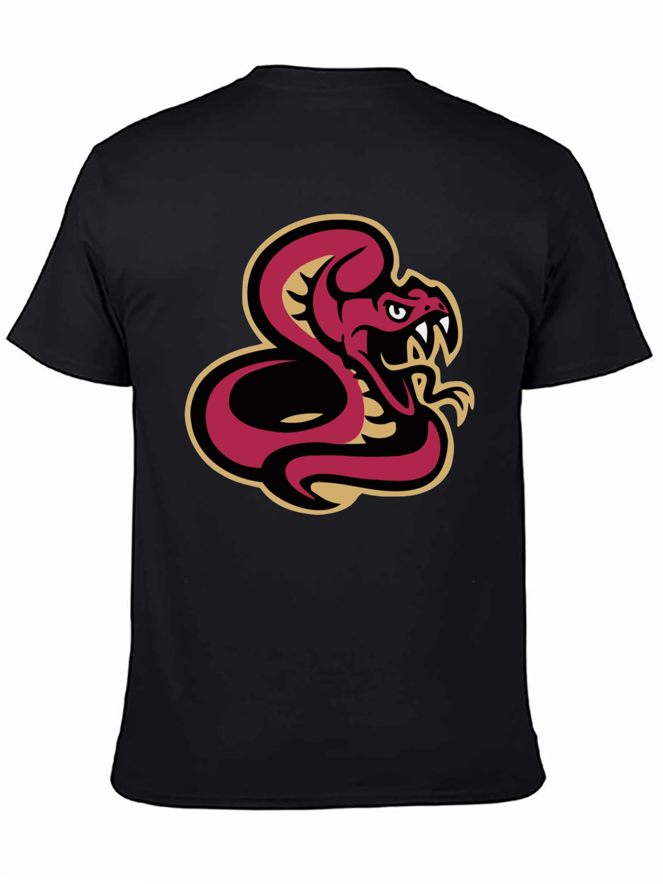 Black T-Shirt with Snake Graphic