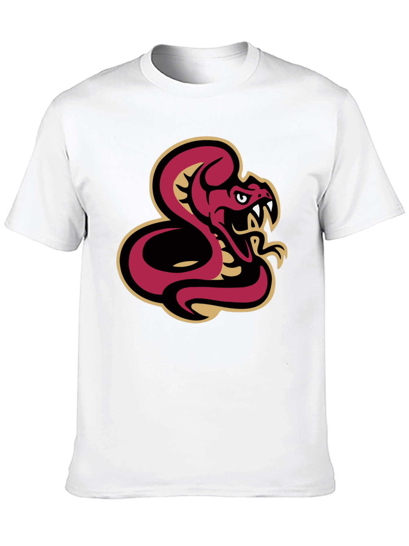 Black T-Shirt with Snake Graphic