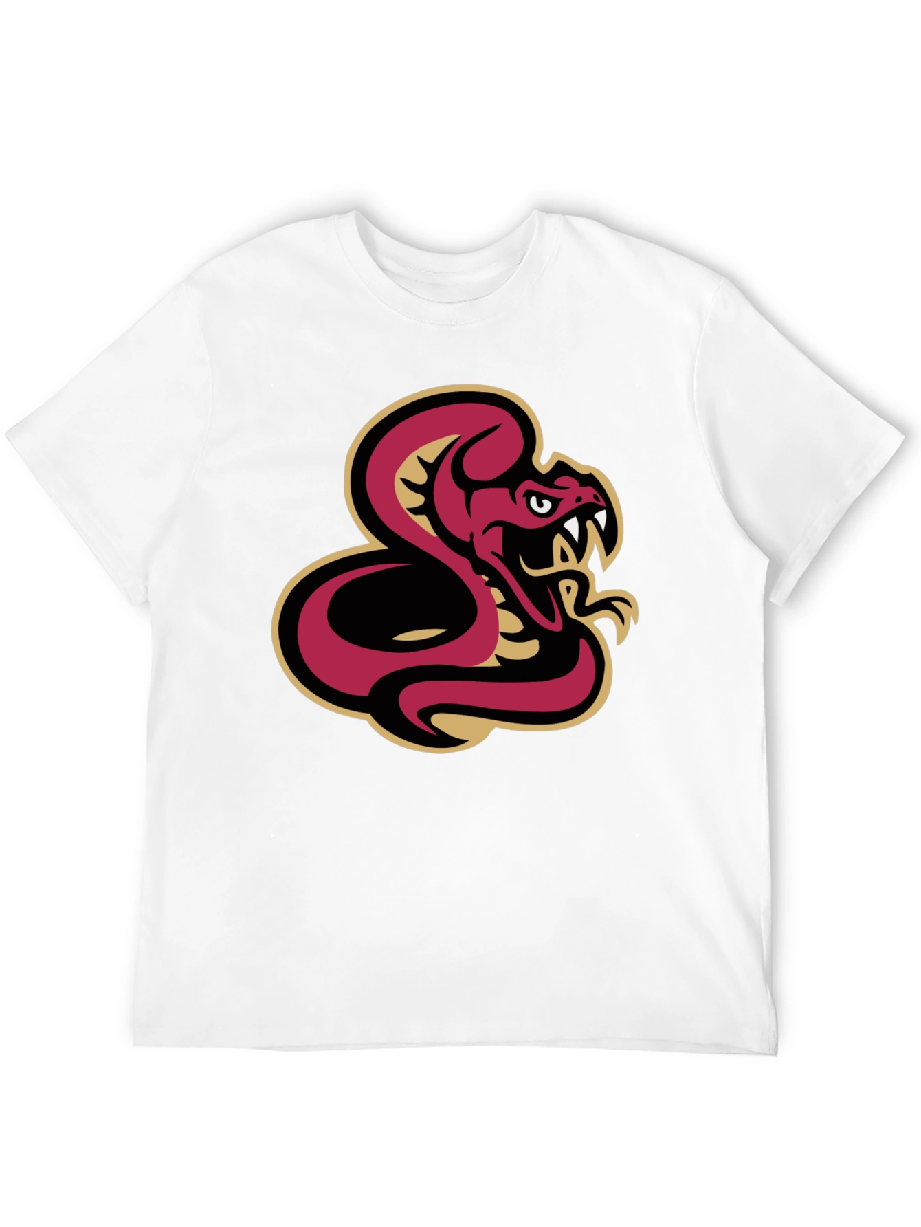 Black T-Shirt with Snake Graphic