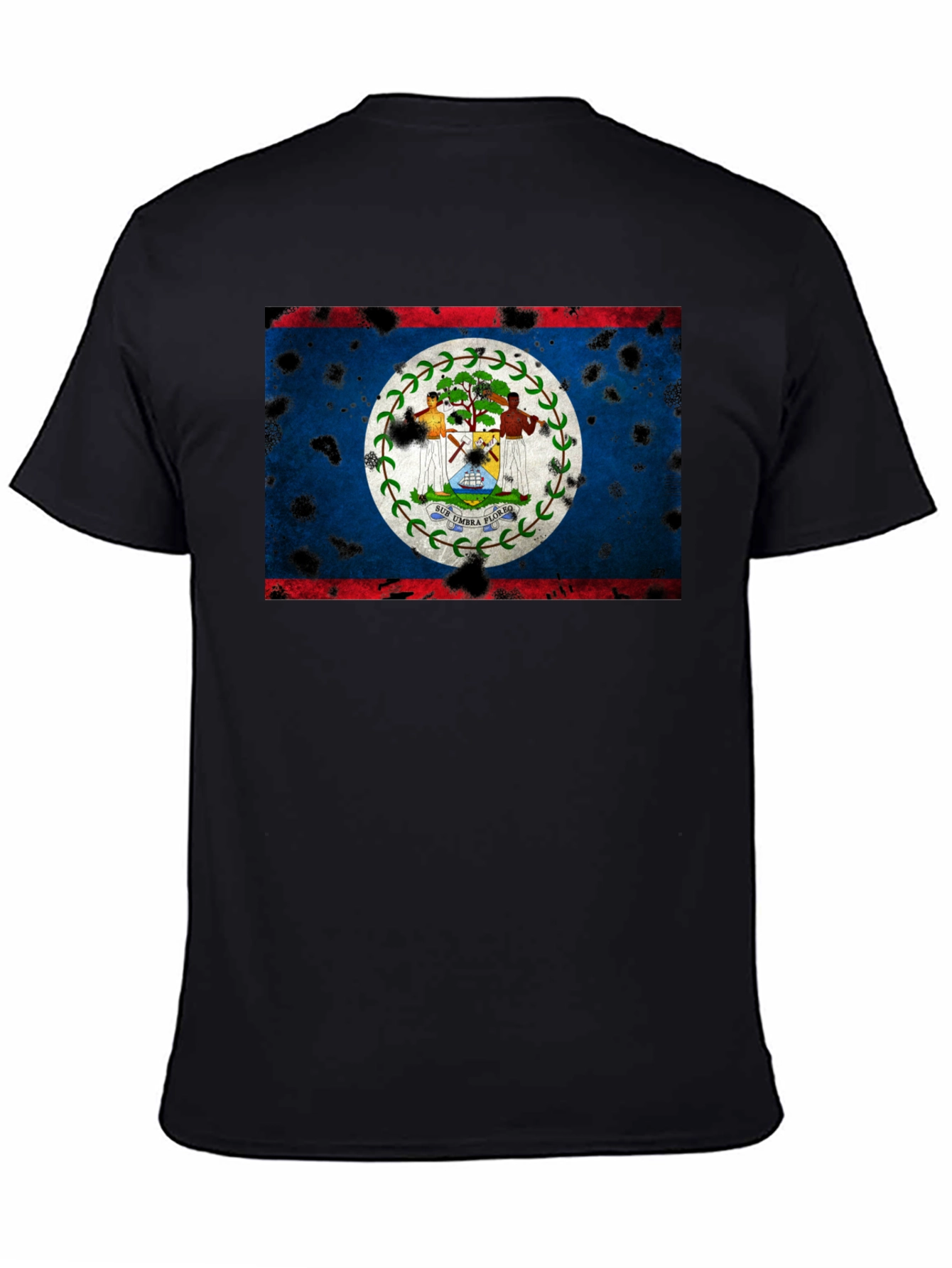 Belize Flag Distressed Graphic T-Shirt