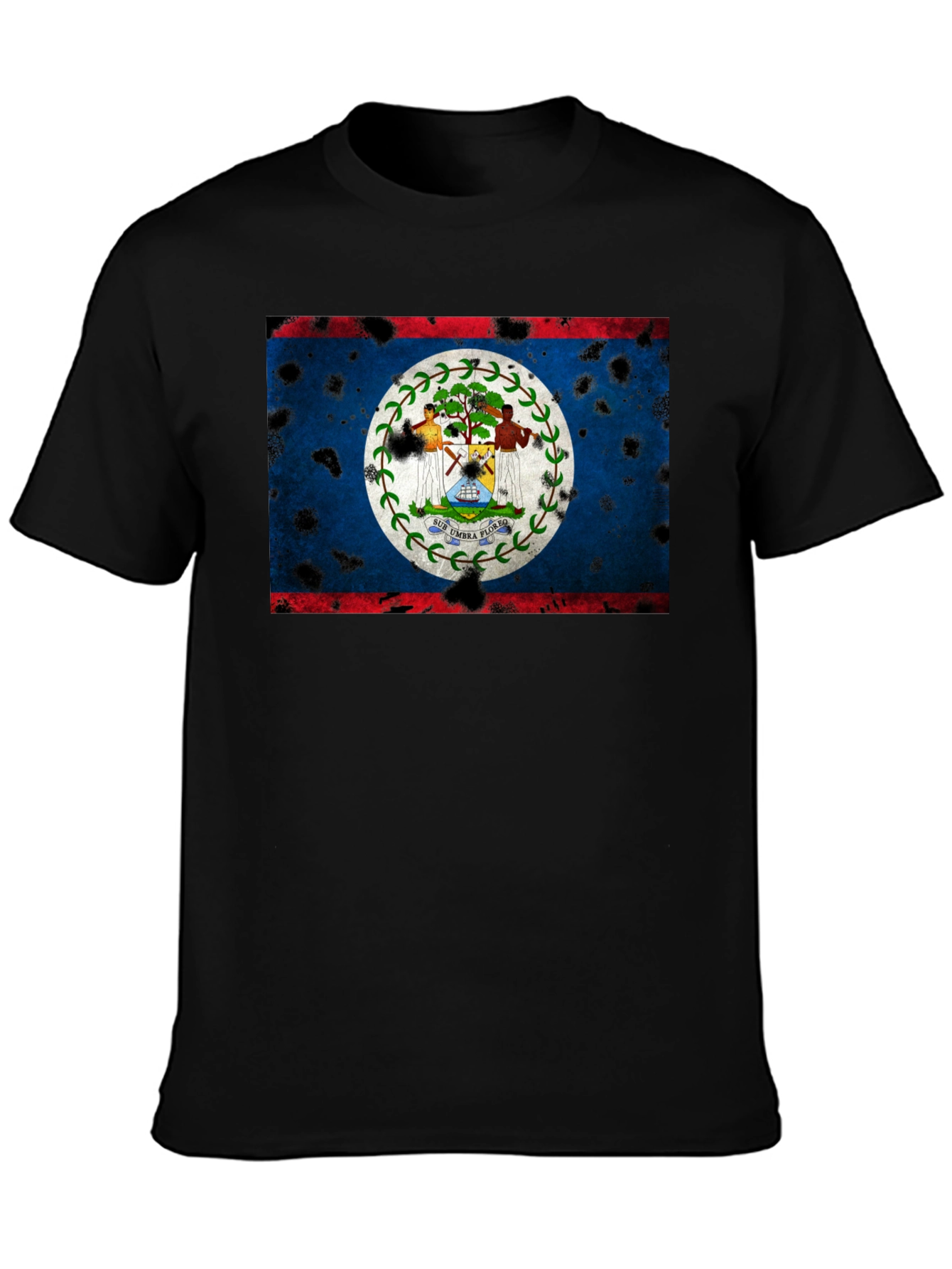 Belize Flag Distressed Graphic T-Shirt
