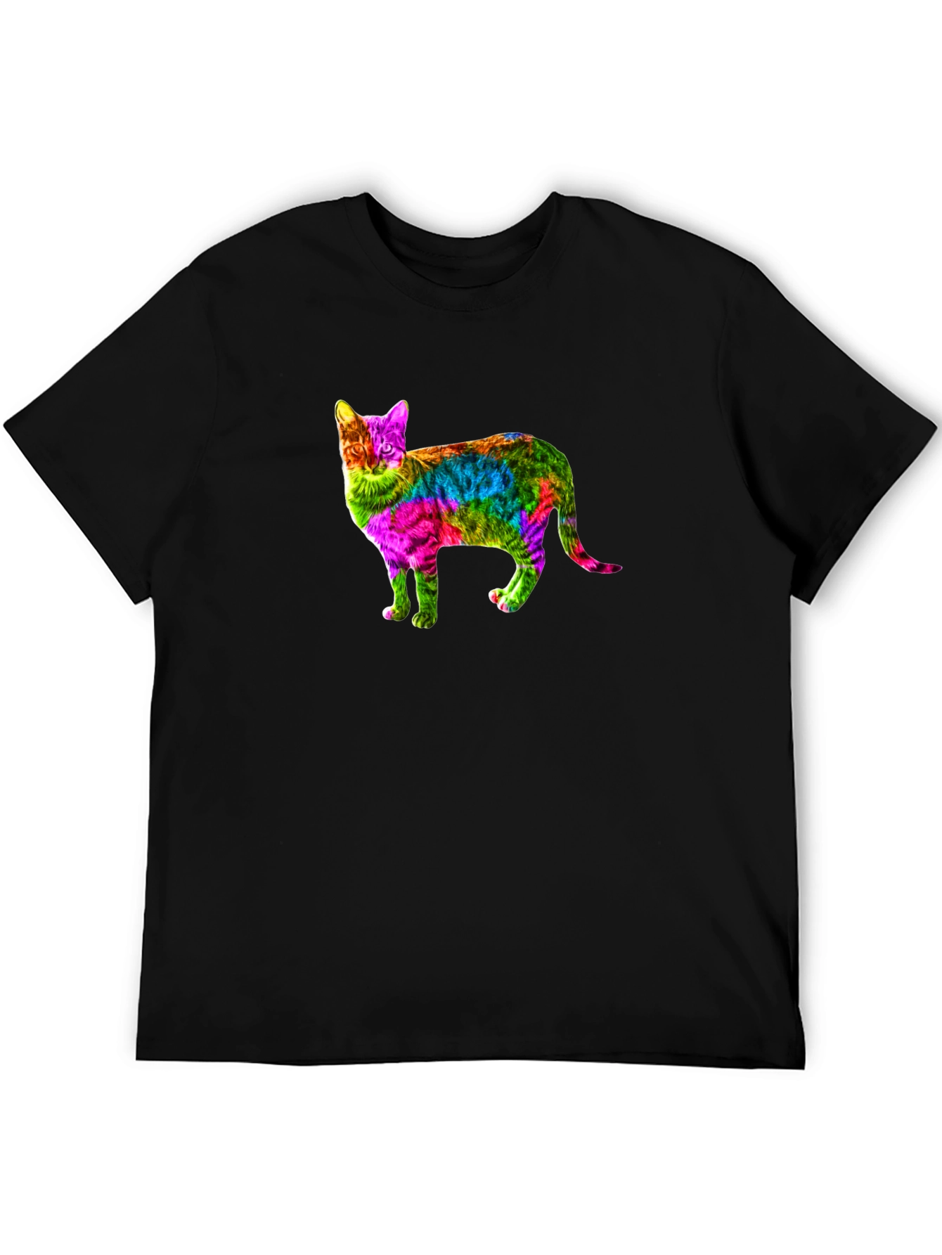 Rainbow Cat Graphic Print Black T-Shirt