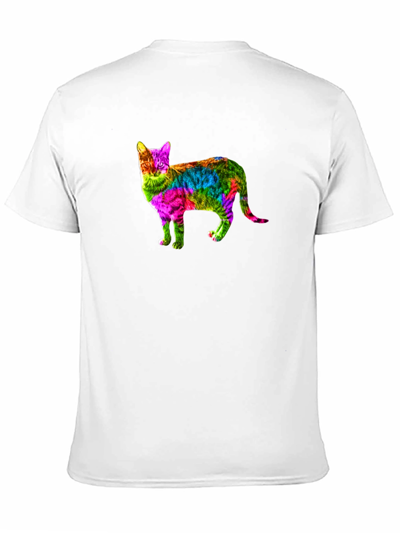 Rainbow Cat Graphic Print Black T-Shirt