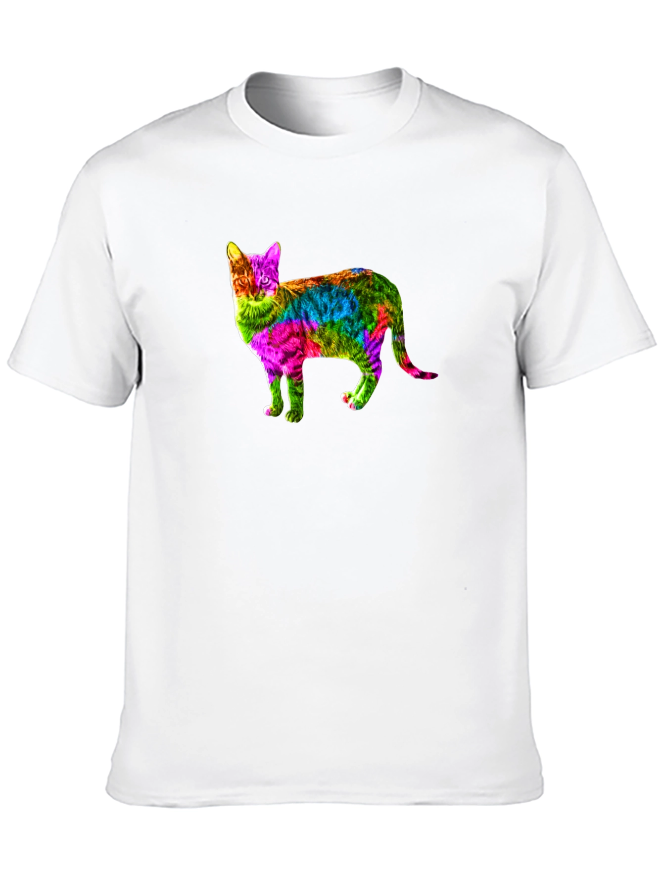 Rainbow Cat Graphic Print Black T-Shirt