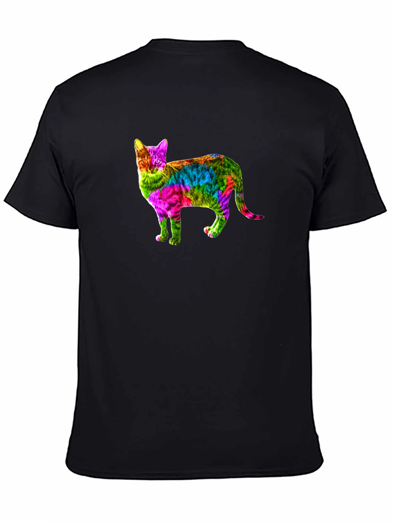 Rainbow Cat Graphic Print Black T-Shirt