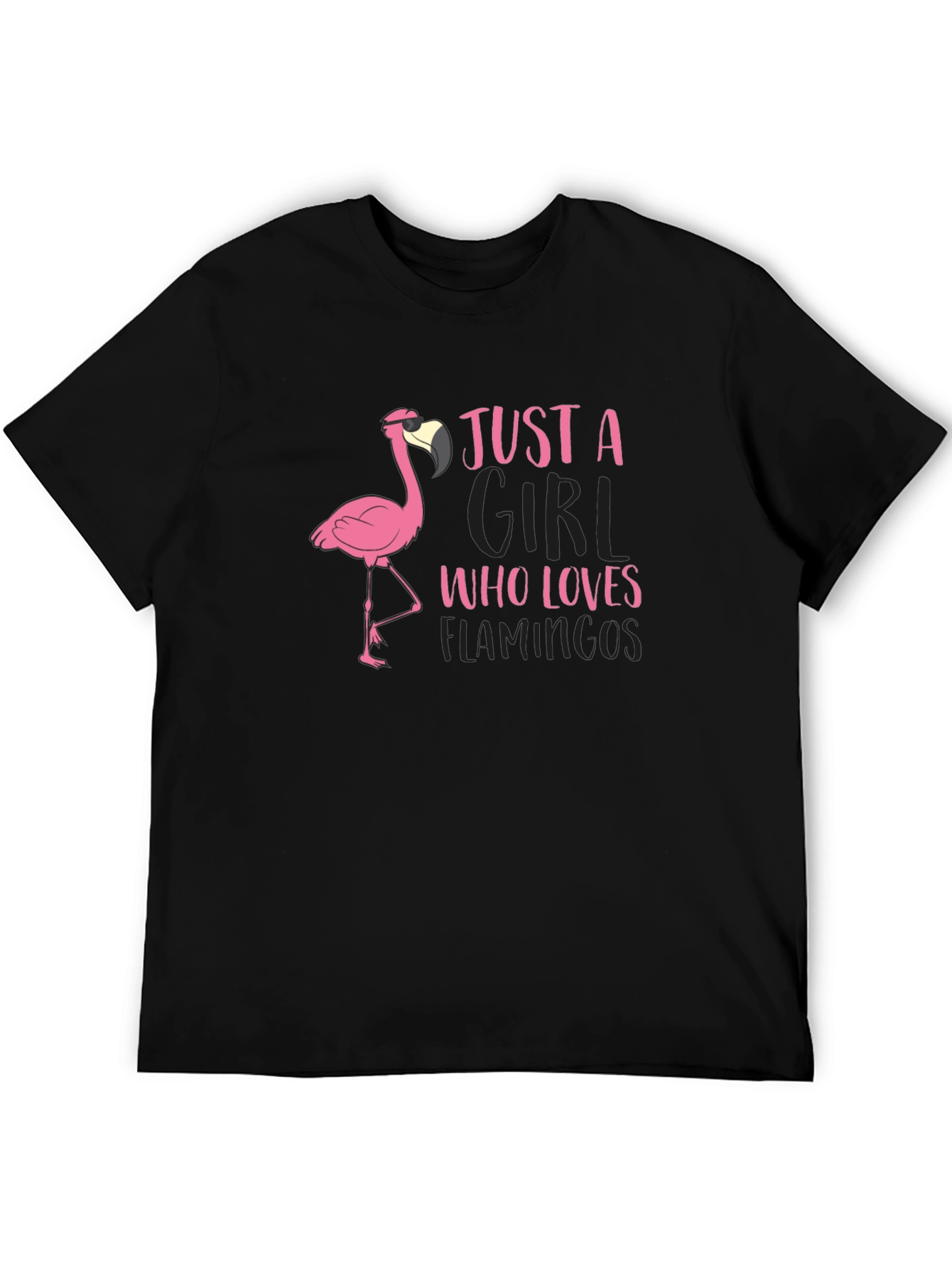 Just A Girl Who Loves Flamingos T-Shirt