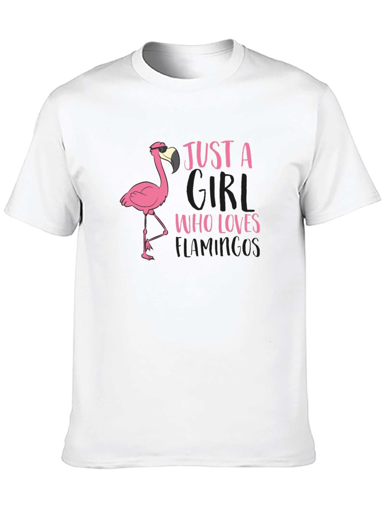 Just A Girl Who Loves Flamingos T-Shirt