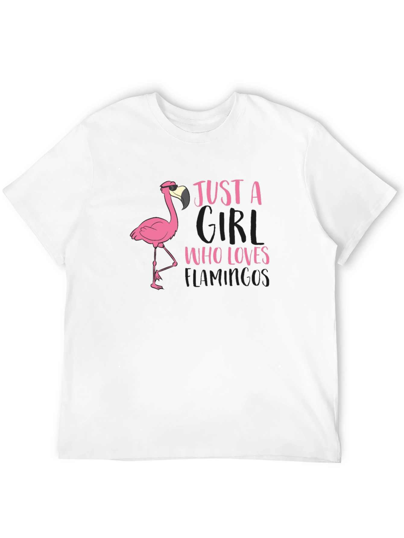 Just A Girl Who Loves Flamingos T-Shirt