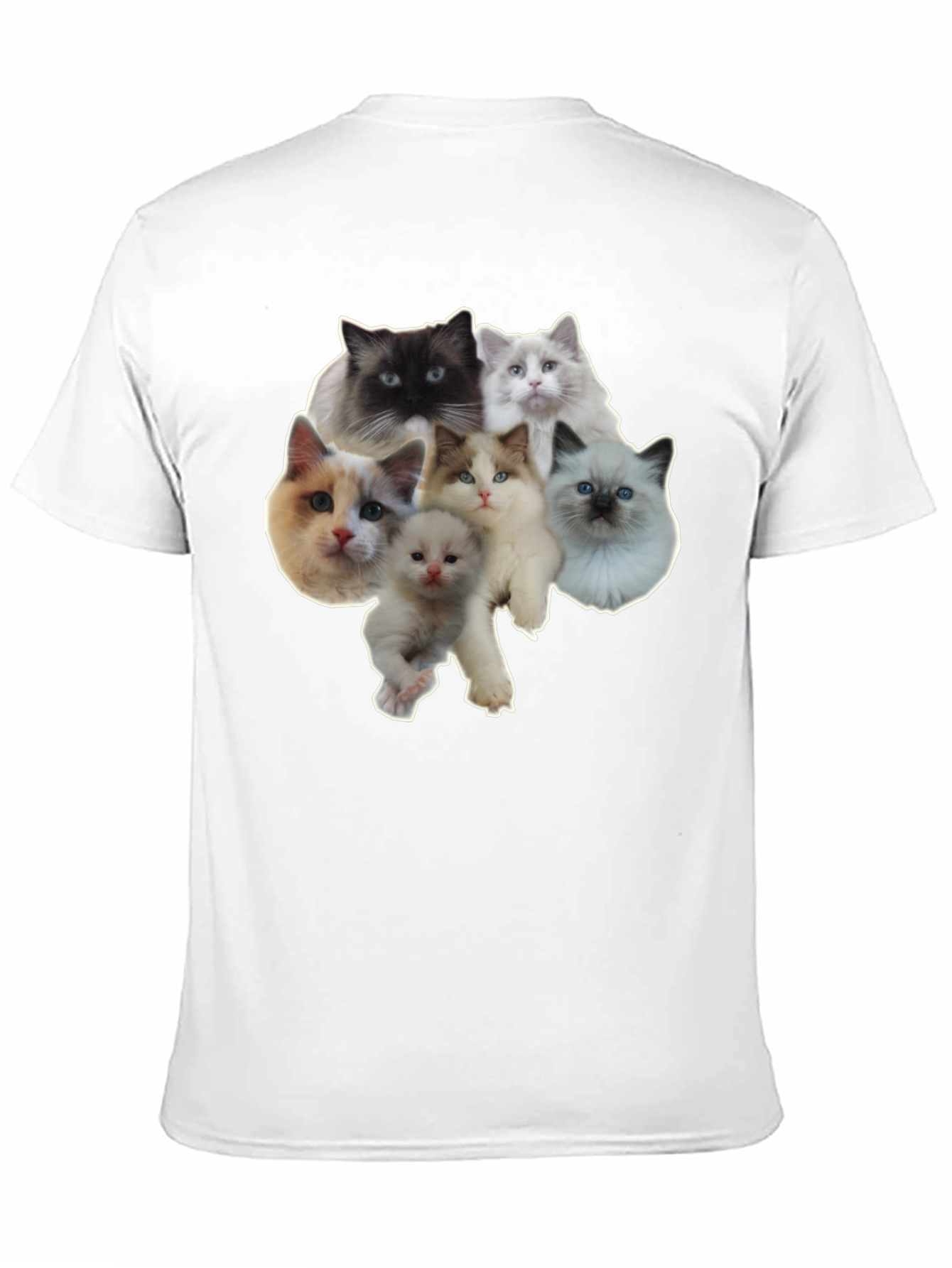 Cats T-Shirt - Cute Kitten Design