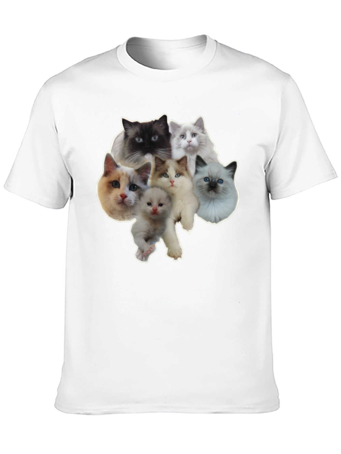 Cats T-Shirt - Cute Kitten Design