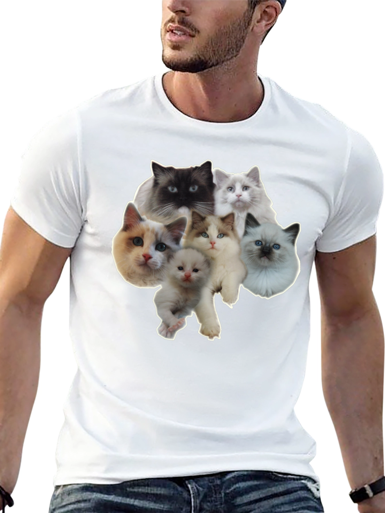 Cats T-Shirt - Cute Kitten Design