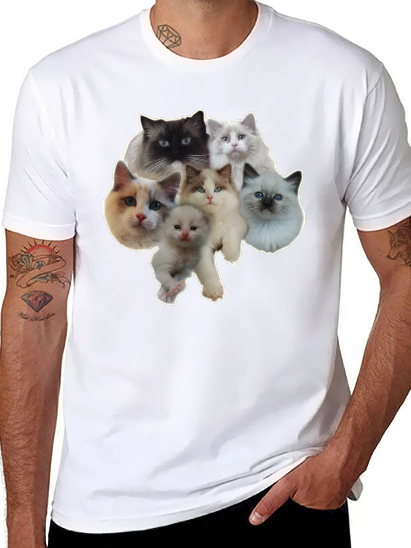 Cats T-Shirt - Cute Kitten Design