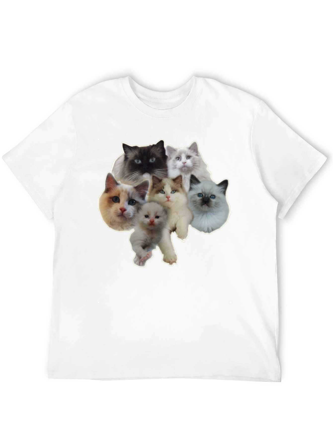 Cats T-Shirt - Cute Kitten Design
