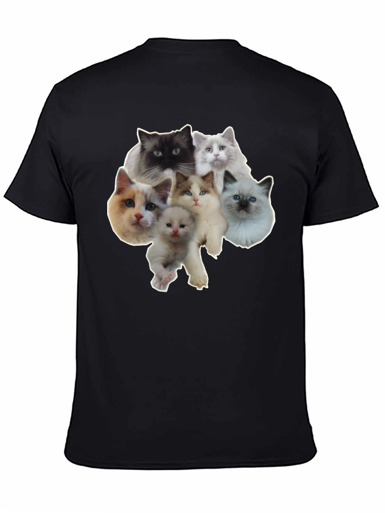 Cats T-Shirt - Cute Kitten Design