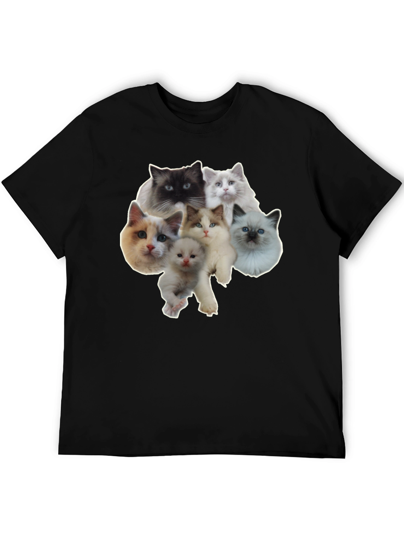 Cats T-Shirt - Cute Kitten Design