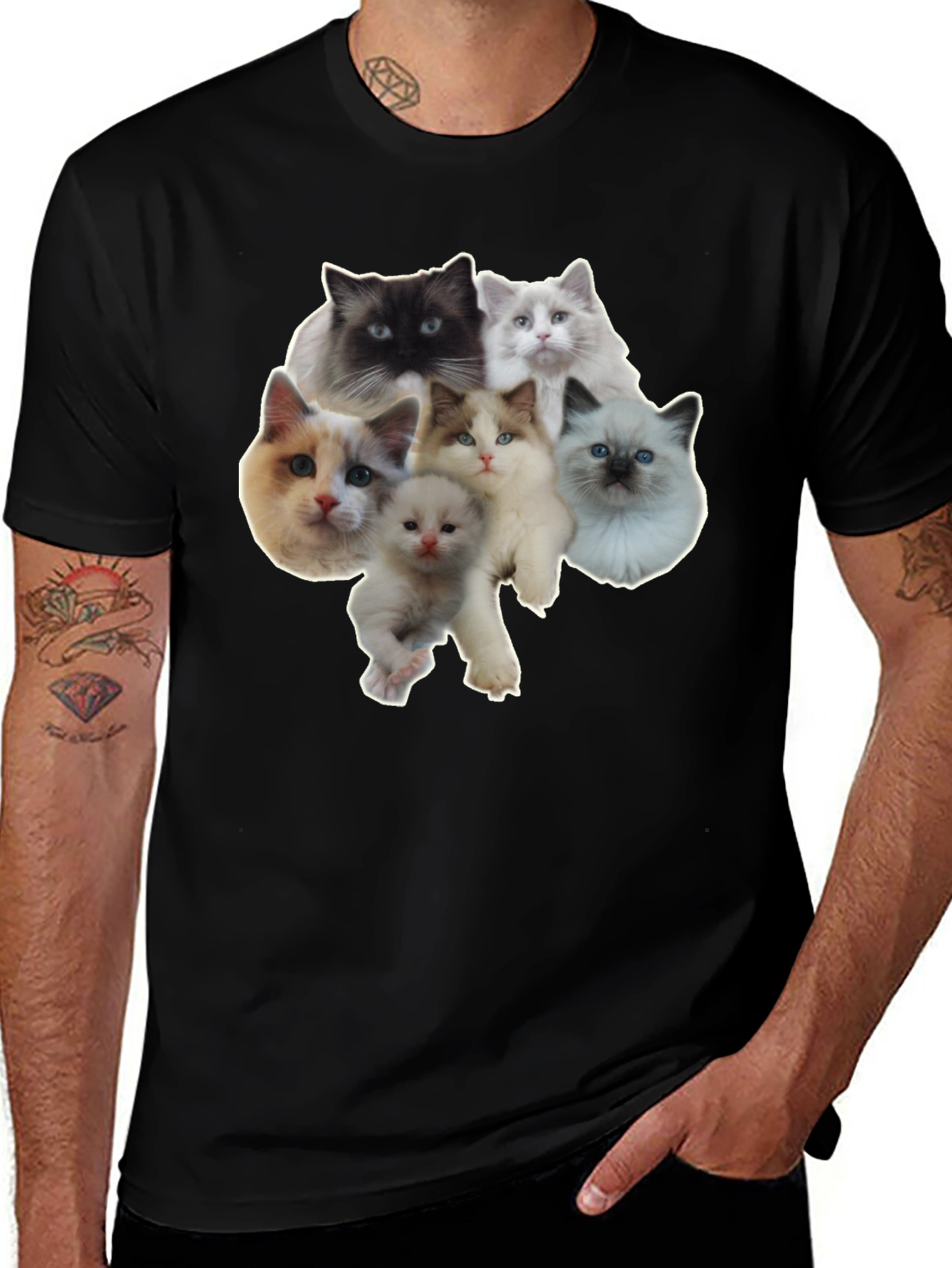 Cats T-Shirt - Cute Kitten Design