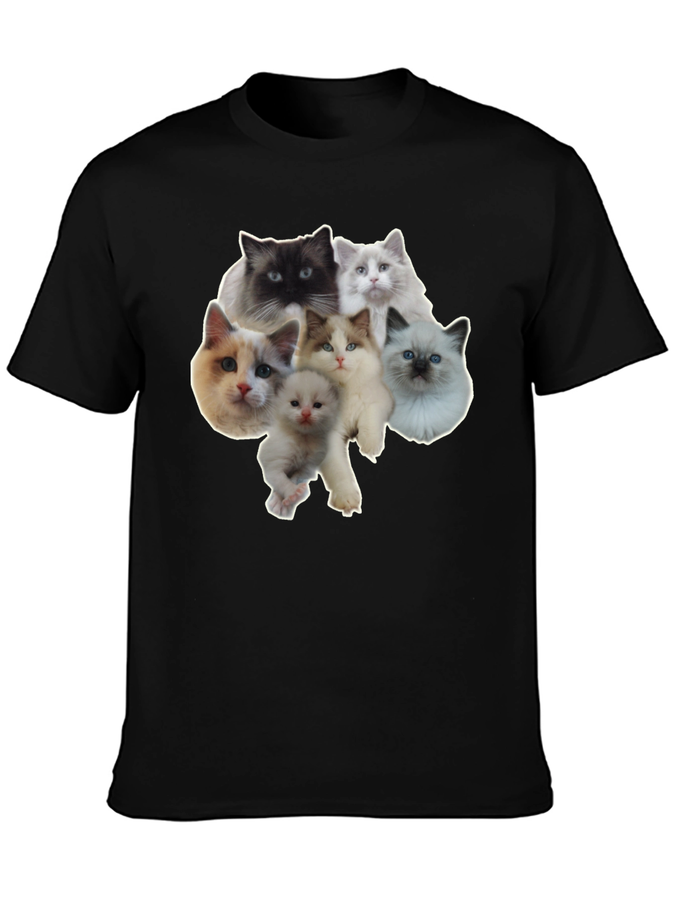 Cats T-Shirt - Cute Kitten Design