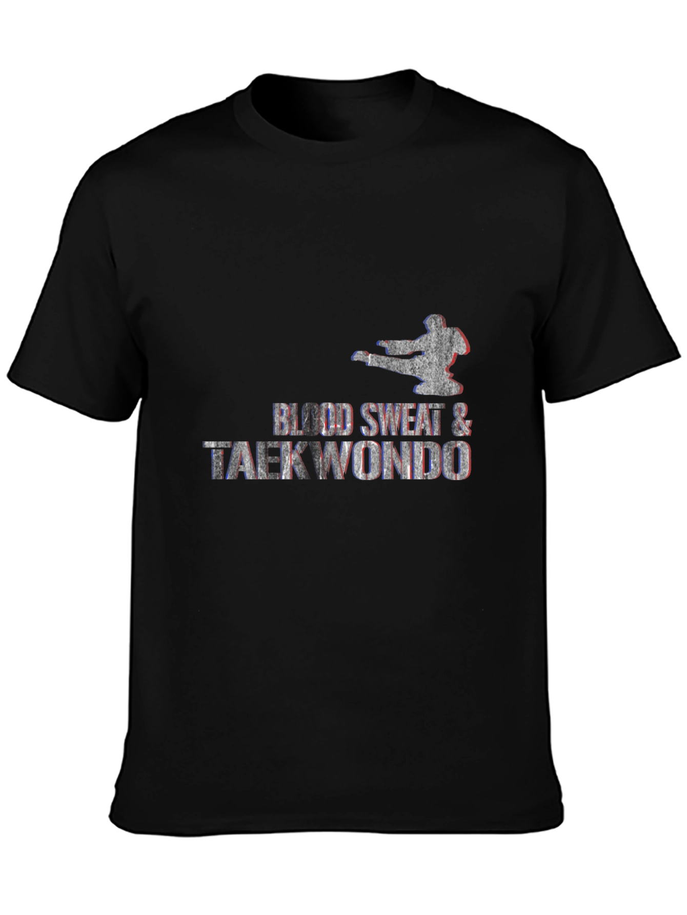 Blood Sweat & Tae Kwon Do Graphic T-Shirt