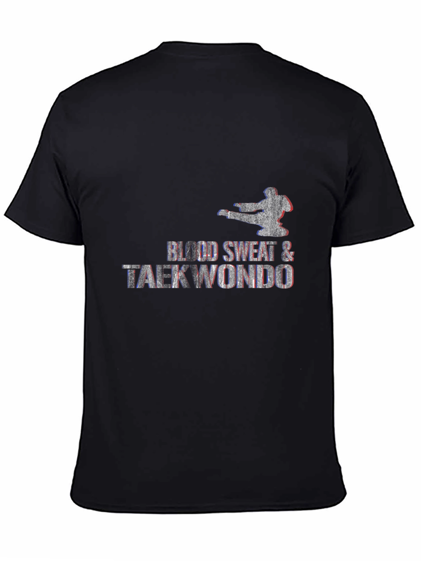 Blood Sweat & Tae Kwon Do Graphic T-Shirt