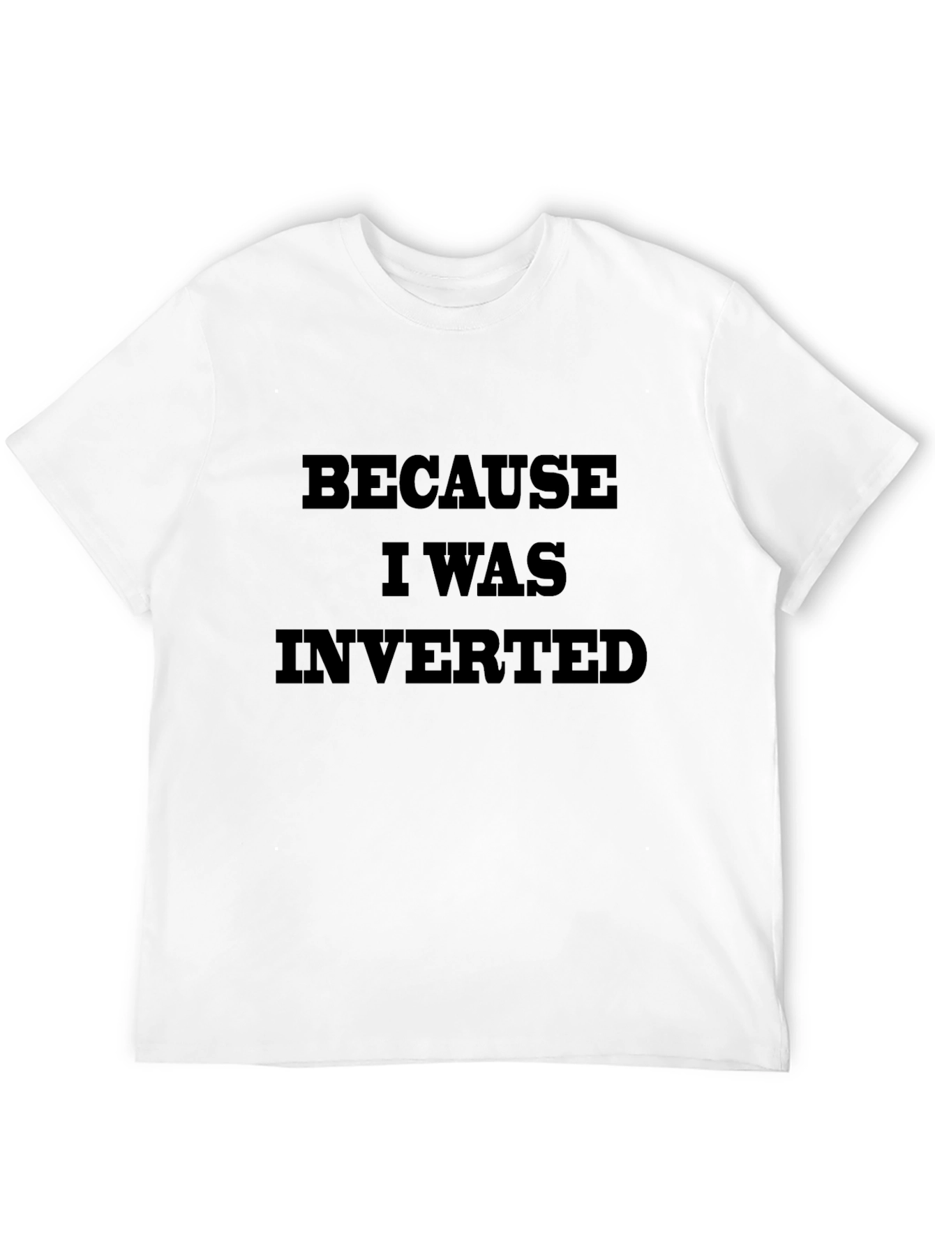 Because I Was Inverted Graphic T-Shirt