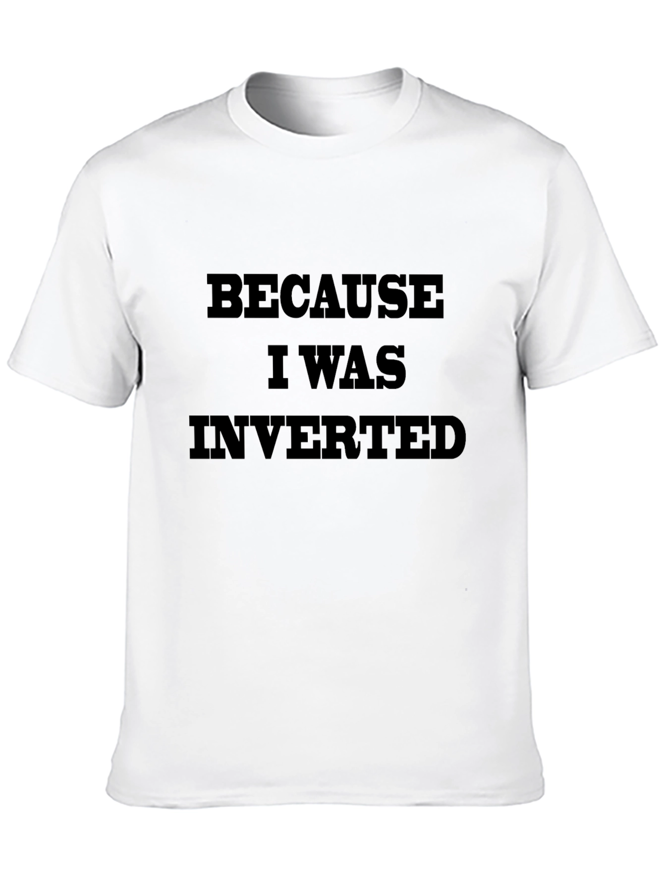 Because I Was Inverted Graphic T-Shirt